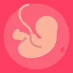 Gestational Age (baby's age) icon