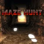 Ｍaze Hunt-3D迷宮尋寶 icon