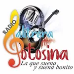 Radio Salitrera Potosina icon