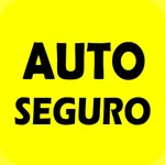 AUTO SEGURO 24 icon