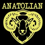 Anatolian Abergavenny icon