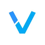 Vasculink icon