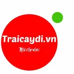 Traicaydi.vn icon