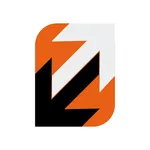 Observer System icon