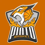 Pintobasket ECB icon