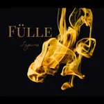 FÜLLE icon