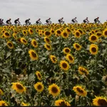 VR Guide: 2021 Tour de France icon