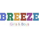 Breeze icon