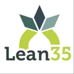 Lean35 Timestamp icon