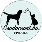 Csodacsont icon