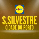 Lidl S Silvestre do Porto icon