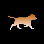 AniBi Dog icon