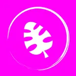 Bikini Bliss Fitness Challenge icon