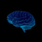 BrainScan icon