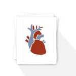 Anatomy-Physiology Flash card icon