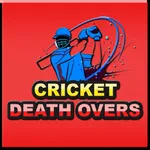 Cricket Death overs icon