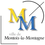 Montois Pocket icon