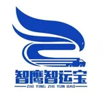 智鹰智运宝 icon