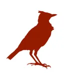 SunLark icon