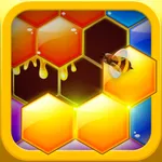 Hexa Hive Puzzle icon