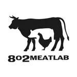 8o2MEATLAB icon