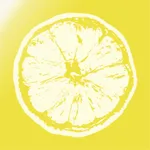 Lemon Fitness icon