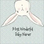 Wonderful Baby Namer icon