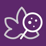 PestDetect for Cotton icon