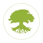 Русские корни: сеть фитоаптек icon