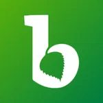 Birkenwerder App icon