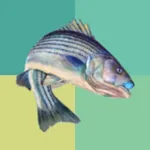 AnglerCatch icon