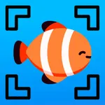 Fish Identifier AI icon