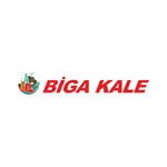 Biga Kale Turizm icon