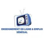 Enseignement en ligne Emploi icon