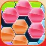 Hex Block Puzzles icon