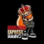 Hooligan Express icon