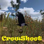 Crow Shoot icon