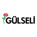 Gülseli icon