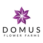 Domus Flower icon