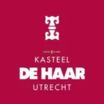 De Haar icon