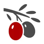 部分カラー icon