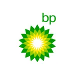 bp Site Optimizer icon