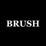 BRUSH Providers icon