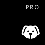 ServerDog Pro: Status, SSH icon