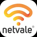 Netvale icon