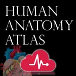 Human Anatomy Atlas + icon