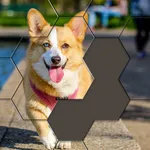 Hexa Puzzle Jigsaws icon