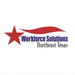 Workforce Solutions NE Texas icon