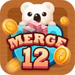 Merge Twelve icon