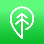 Treebal icon
